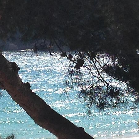 Llafranc Daire Dış mekan fotoğraf